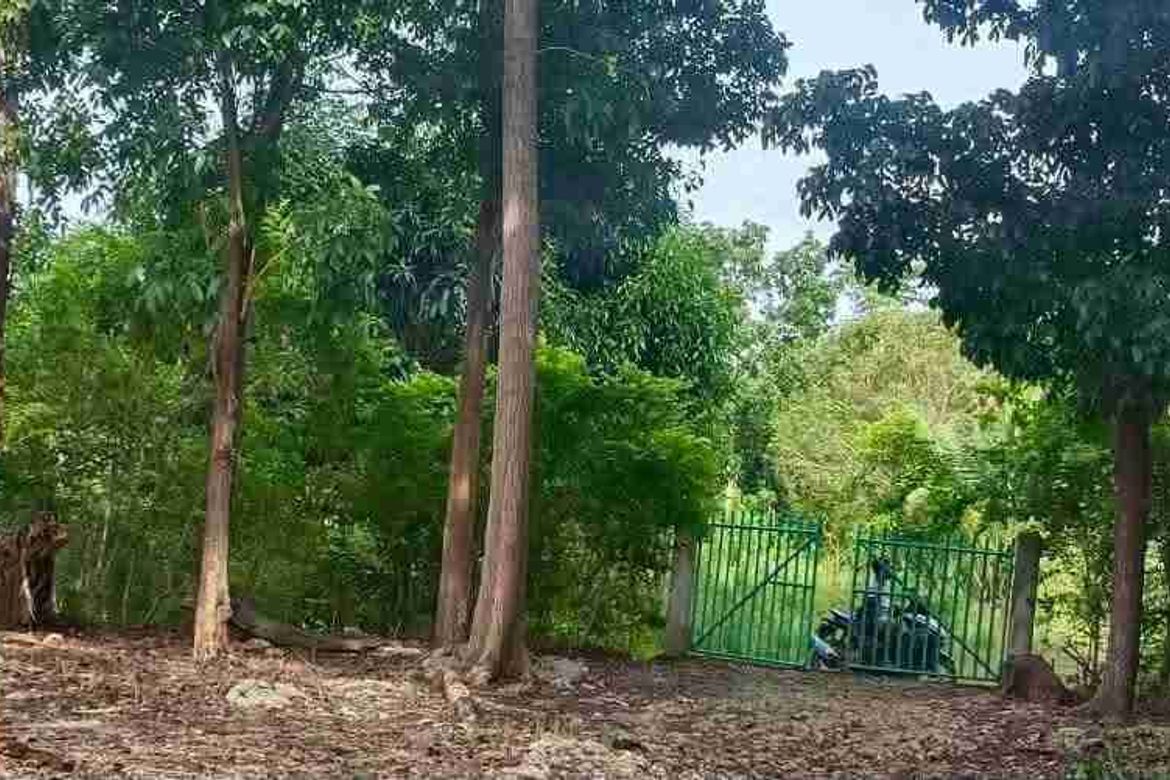 Land for Sale in Saavedra, Moalboal, Cebu – photo 4