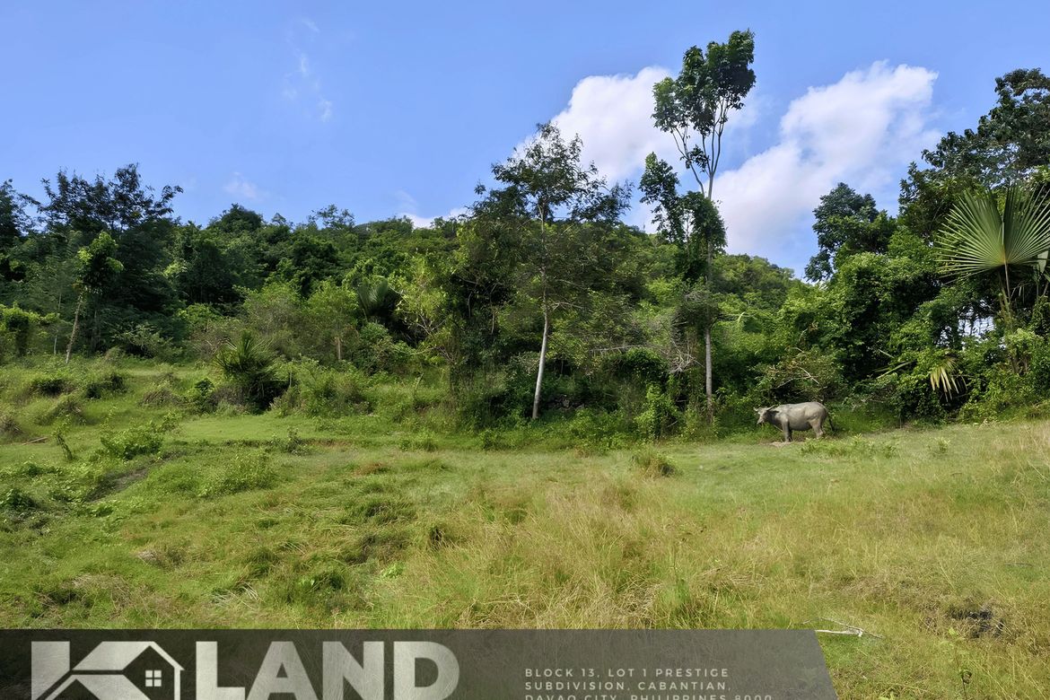 Land for Sale in Sab-A, San Remigio, Cebu – photo 2