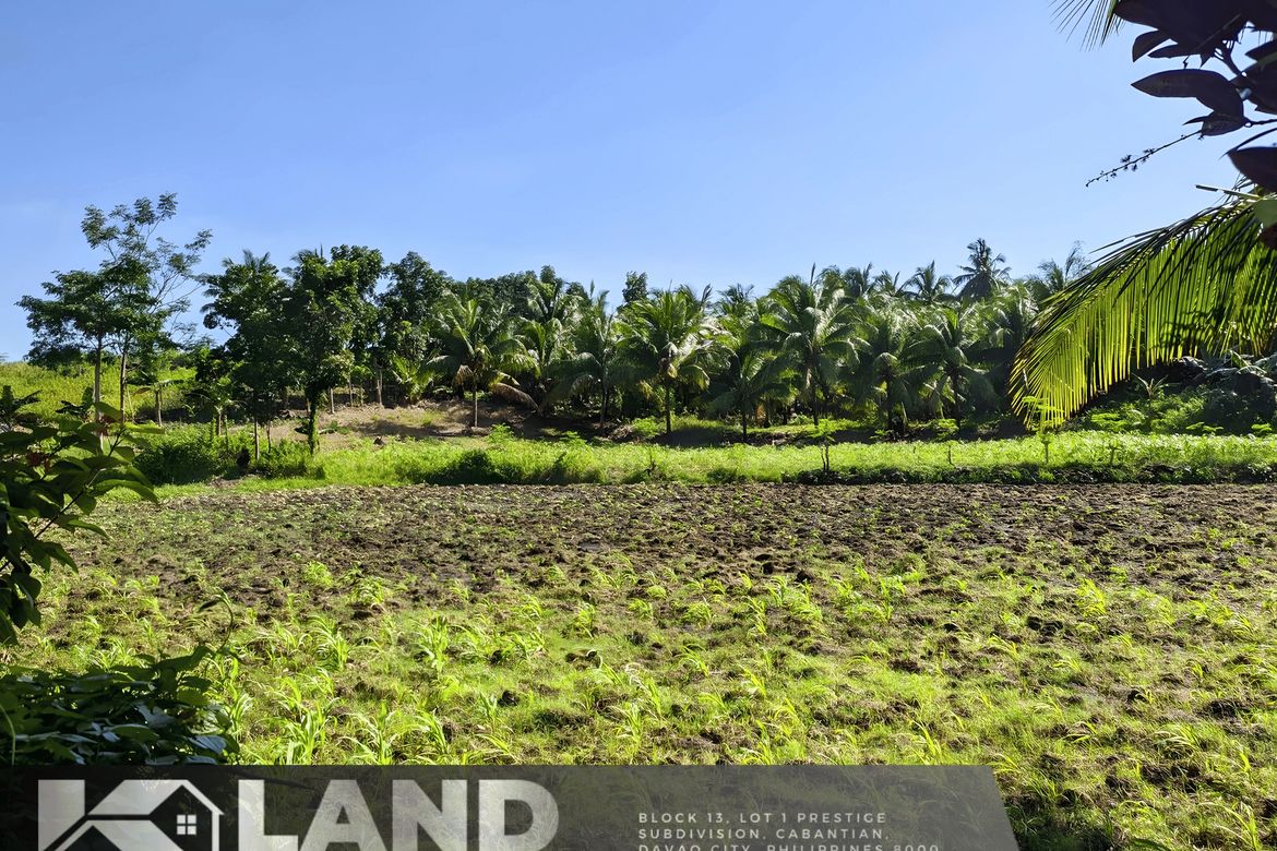 Land for Sale in Sab-A, San Remigio, Cebu – photo 3