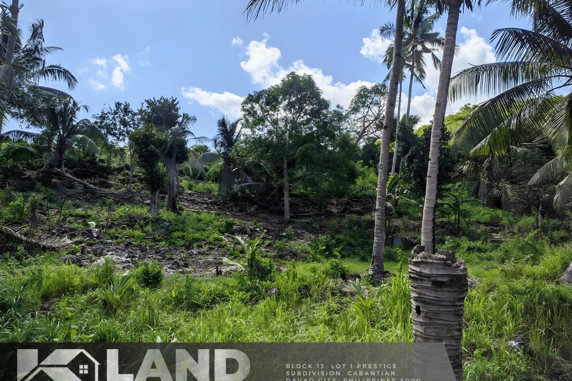 Land for Sale in Sab-A, San Remigio, Cebu – photo 4