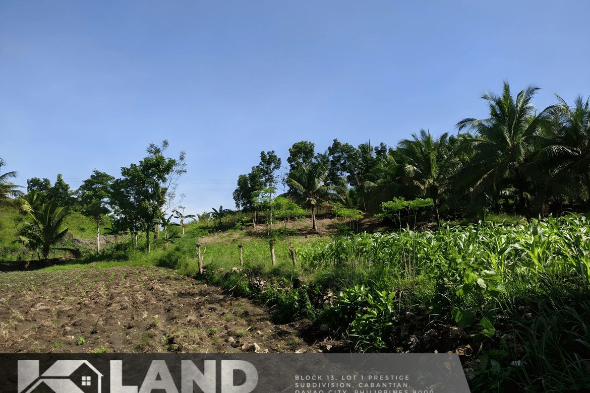 Land for Sale in Sab-A, San Remigio, Cebu – photo 8