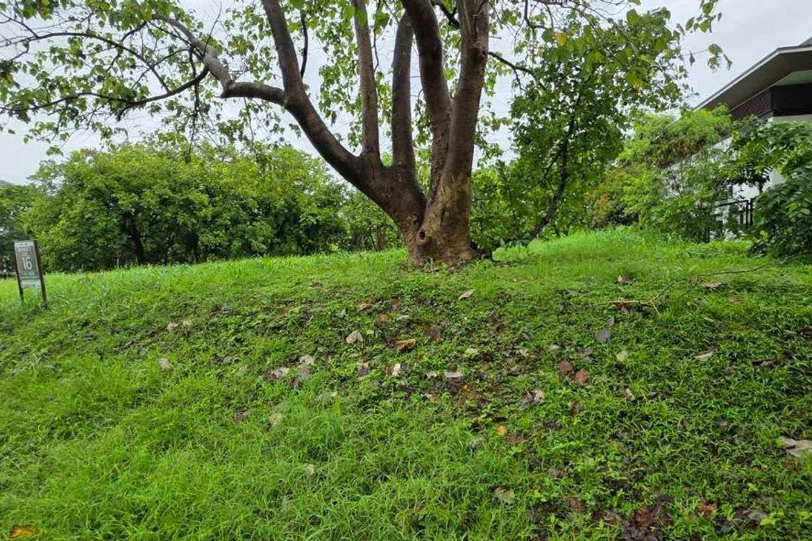 Land for Sale in Sabang, Morong, Bataan