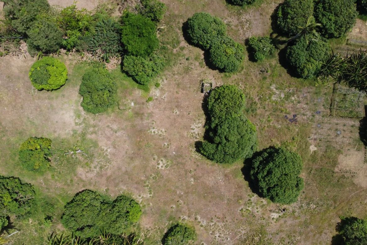 Land for Sale in Sabang, Pagsanjan, Laguna – photo 2