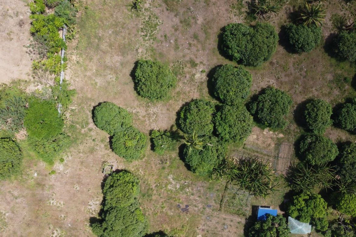 Land for Sale in Sabang, Pagsanjan, Laguna – photo 6