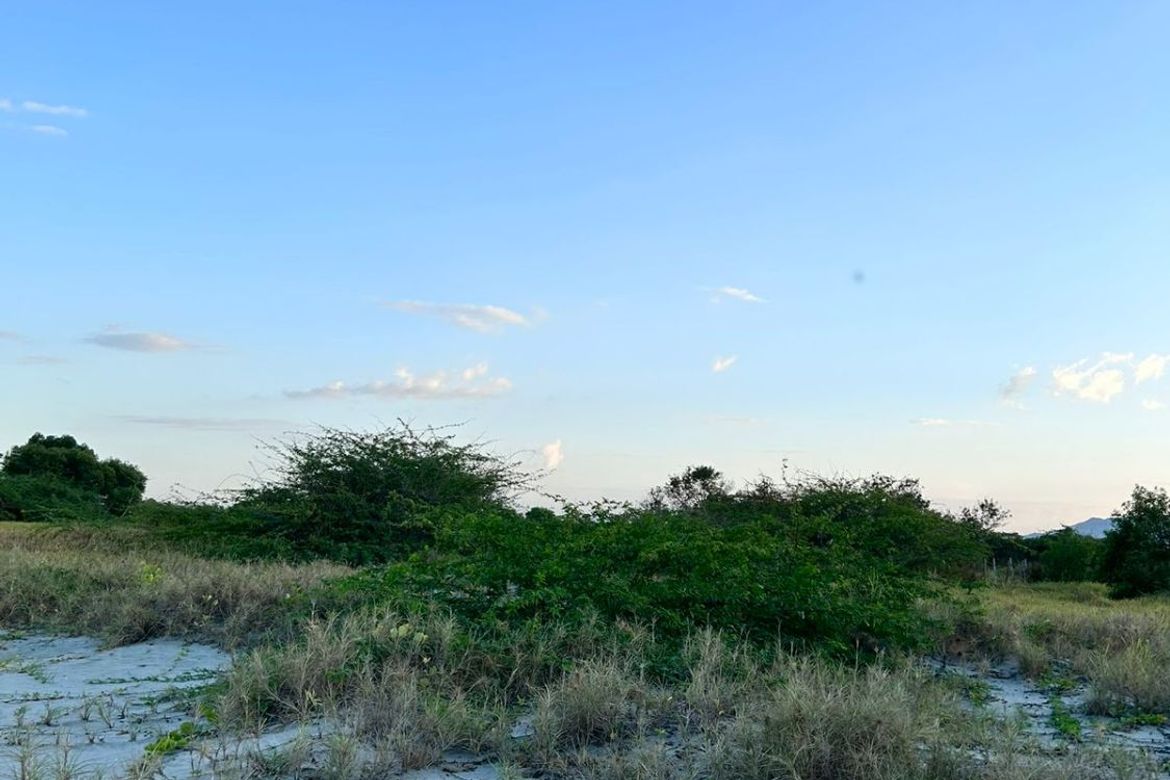 Land for Sale in Sabangan, Lingayen, Pangasinan – photo 6