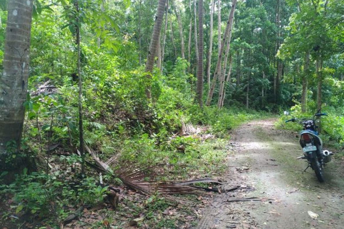 Land for Sale in Sacaon, Garcia Hernandez, Bohol – photo 2