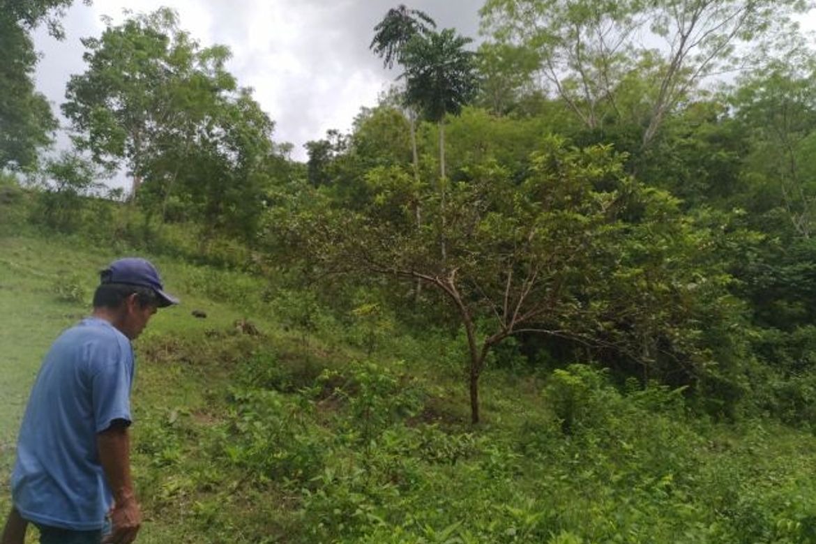 Land for Sale in Sacaon, Garcia Hernandez, Bohol – photo 6