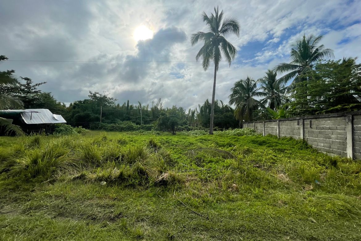 Land for Sale in Sacol, Buenavista, Agusan del Norte – photo 6