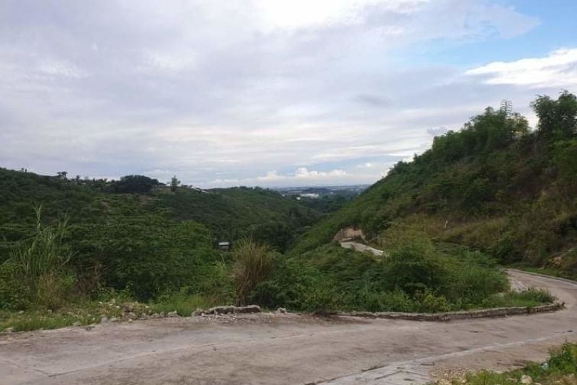 Land for Sale in Sacsac, Consolacion, Cebu – photo 2