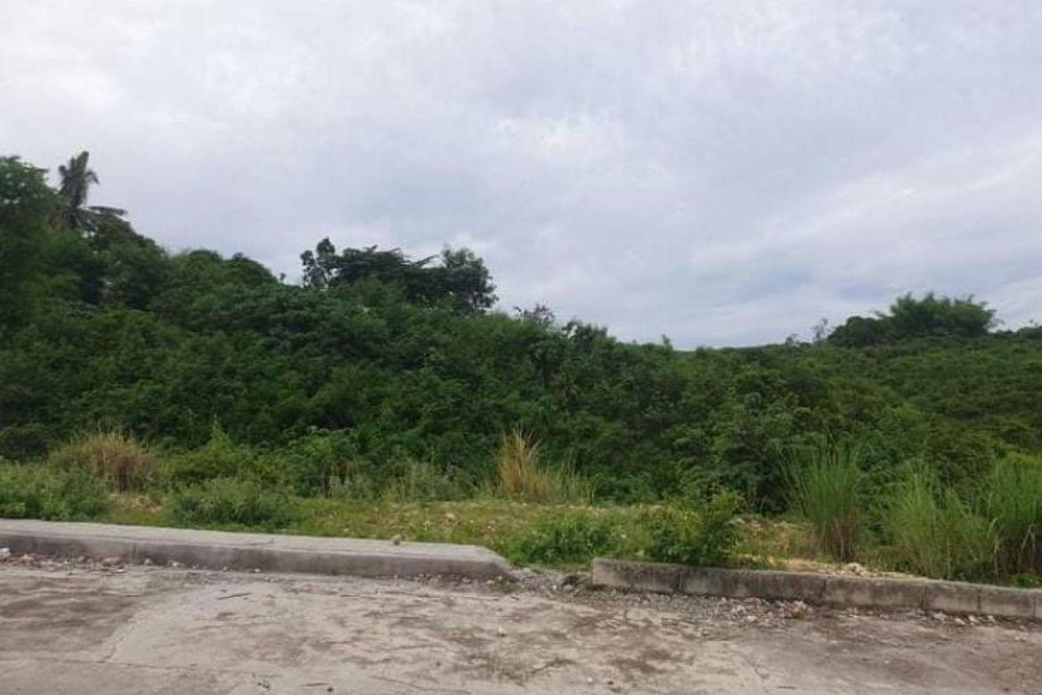 Land for Sale in Sacsac, Consolacion, Cebu – photo 3