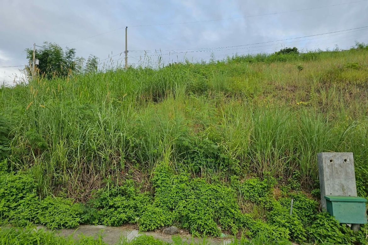 Land for Sale in Sacsac, Consolacion, Cebu – photo 4