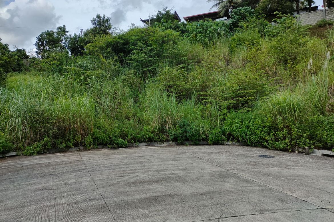 Land for Sale in Sacsac, Consolacion, Cebu – photo 7