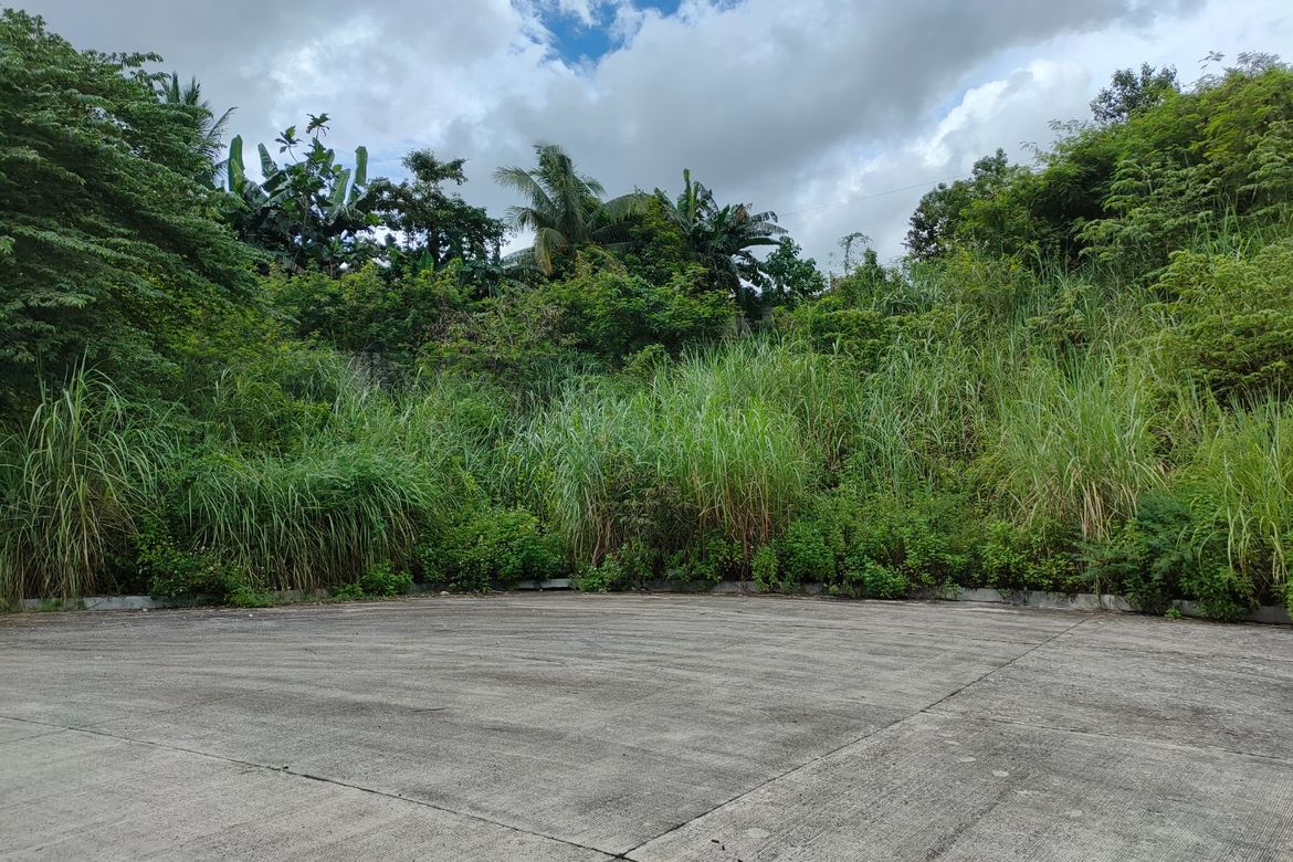 Land for Sale in Sacsac, Consolacion, Cebu – photo 8
