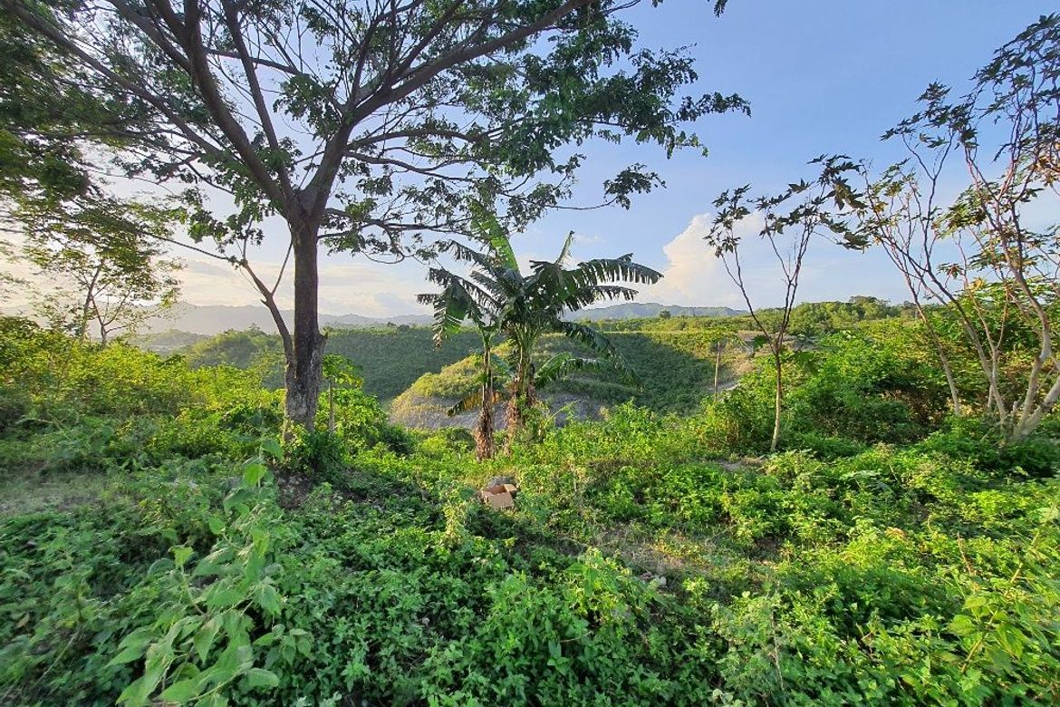 Land for Sale in Sacsac, Consolacion, Cebu