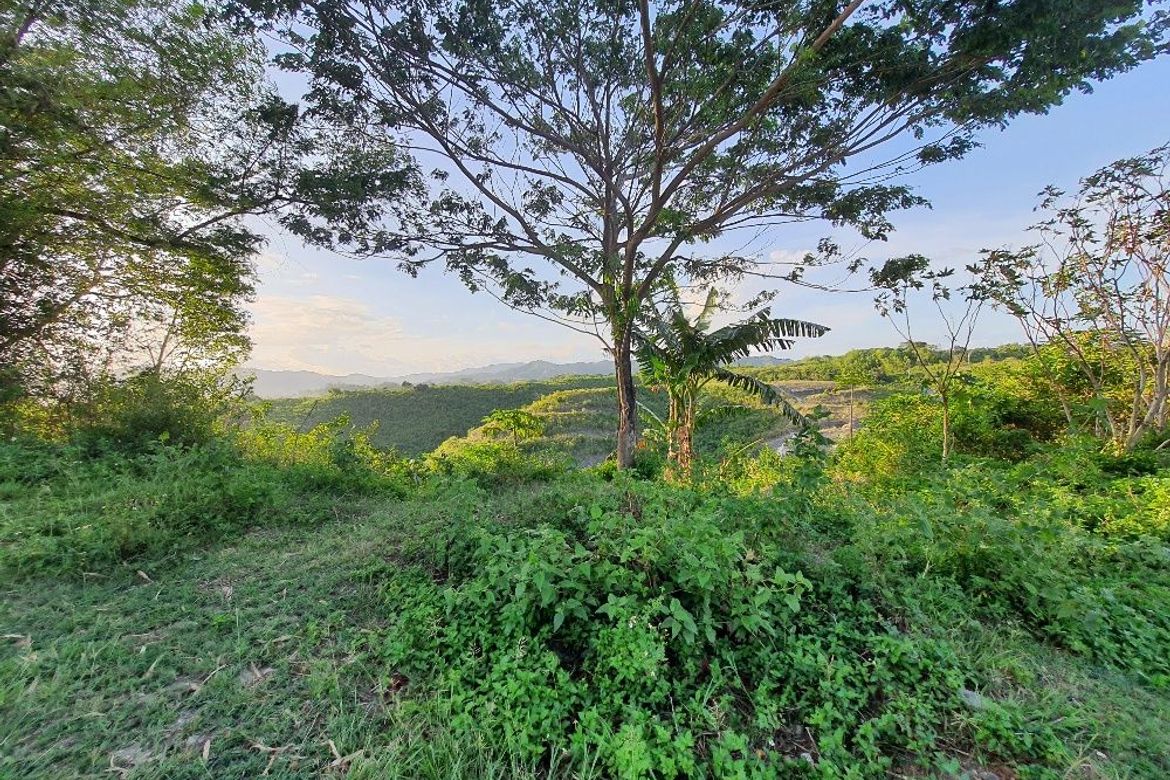 Land for Sale in Sacsac, Consolacion, Cebu – photo 4