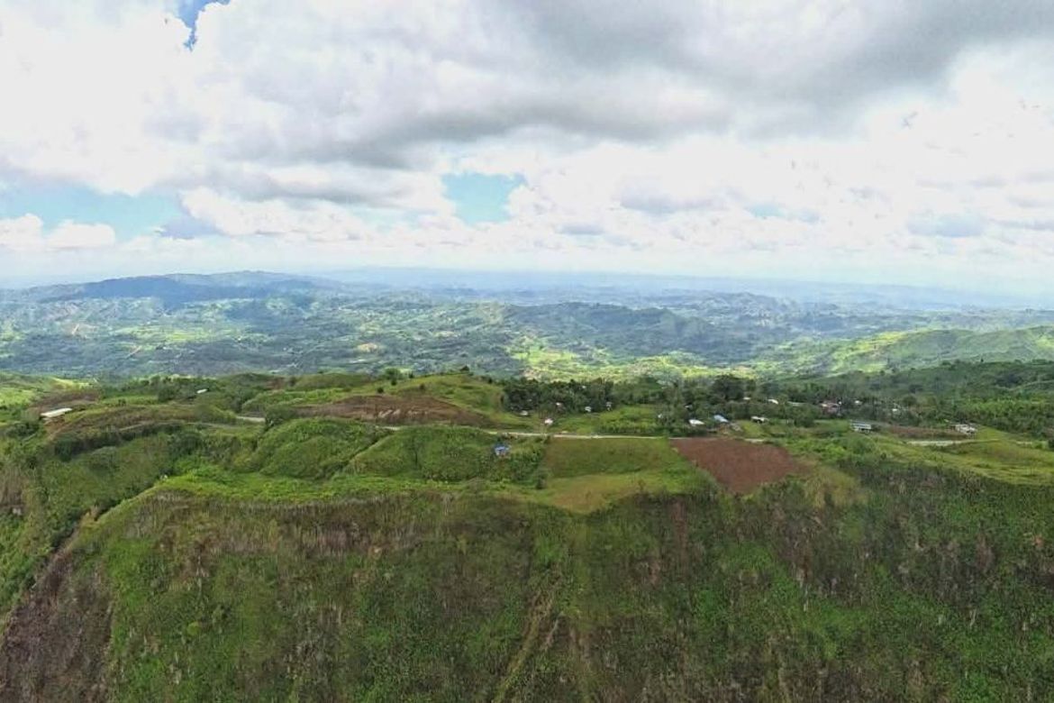 Land for Sale in Sagundanon, Kitaotao, Bukidnon – photo 2