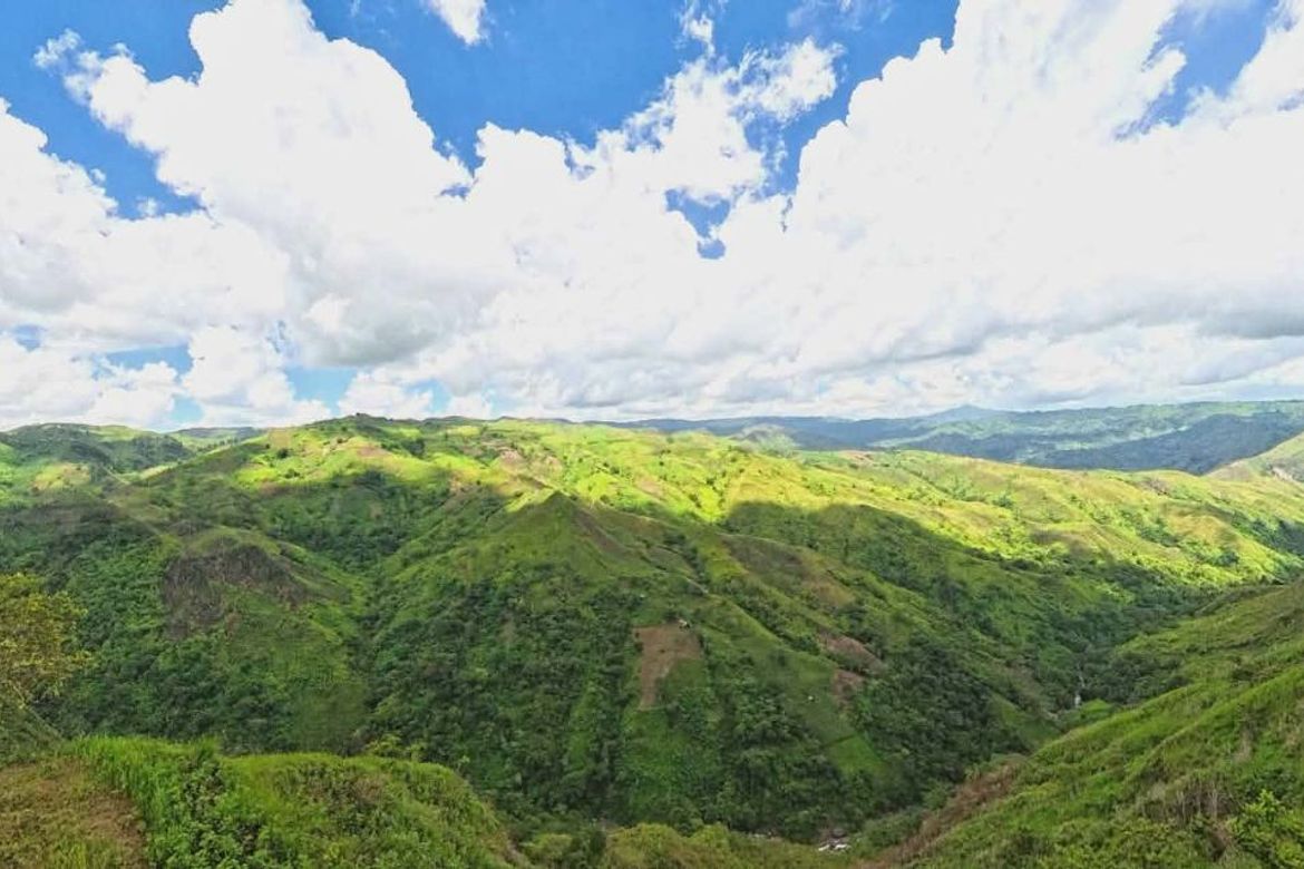Land for Sale in Sagundanon, Kitaotao, Bukidnon – photo 5