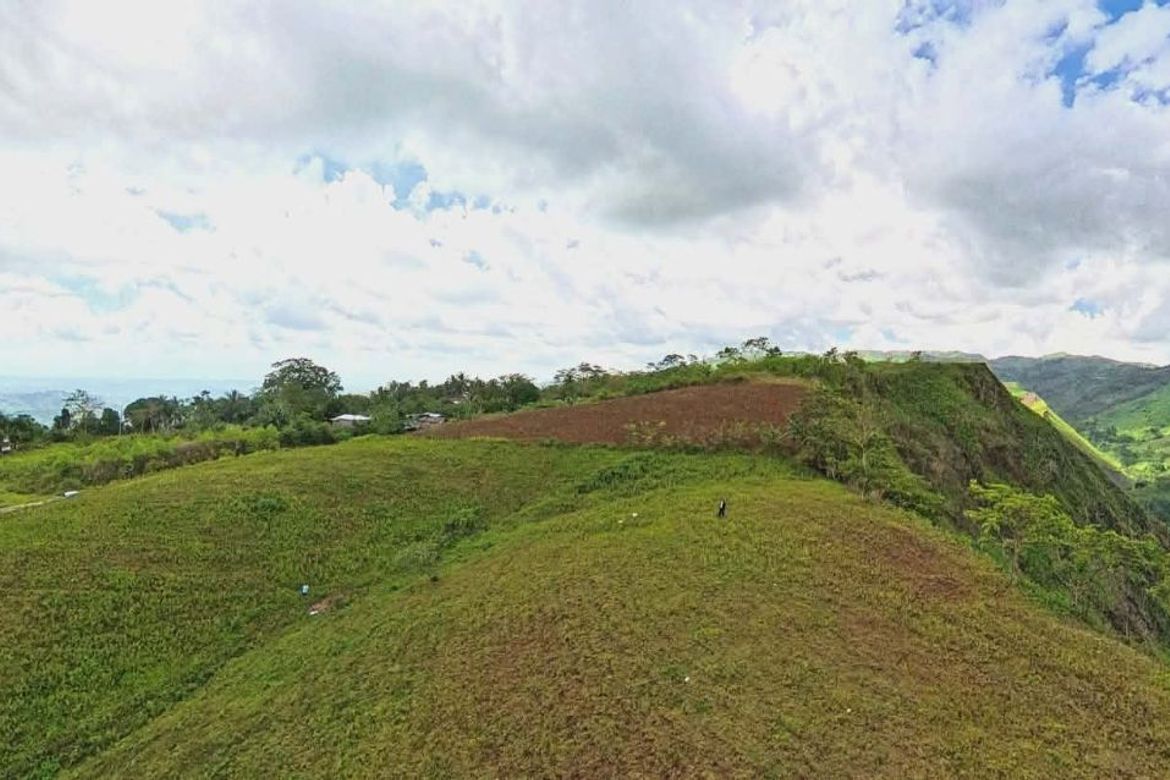 Land for Sale in Sagundanon, Kitaotao, Bukidnon – photo 6