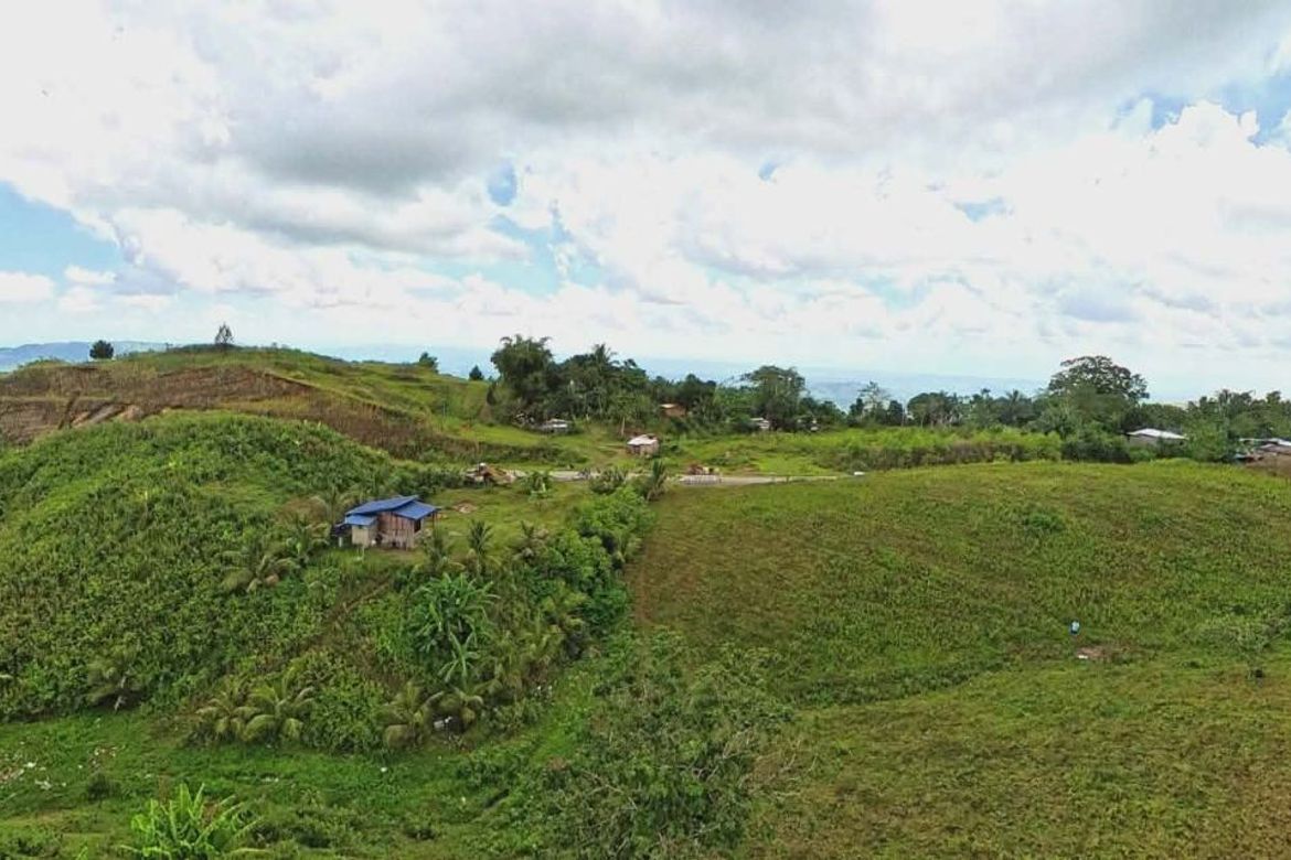 Land for Sale in Sagundanon, Kitaotao, Bukidnon – photo 7