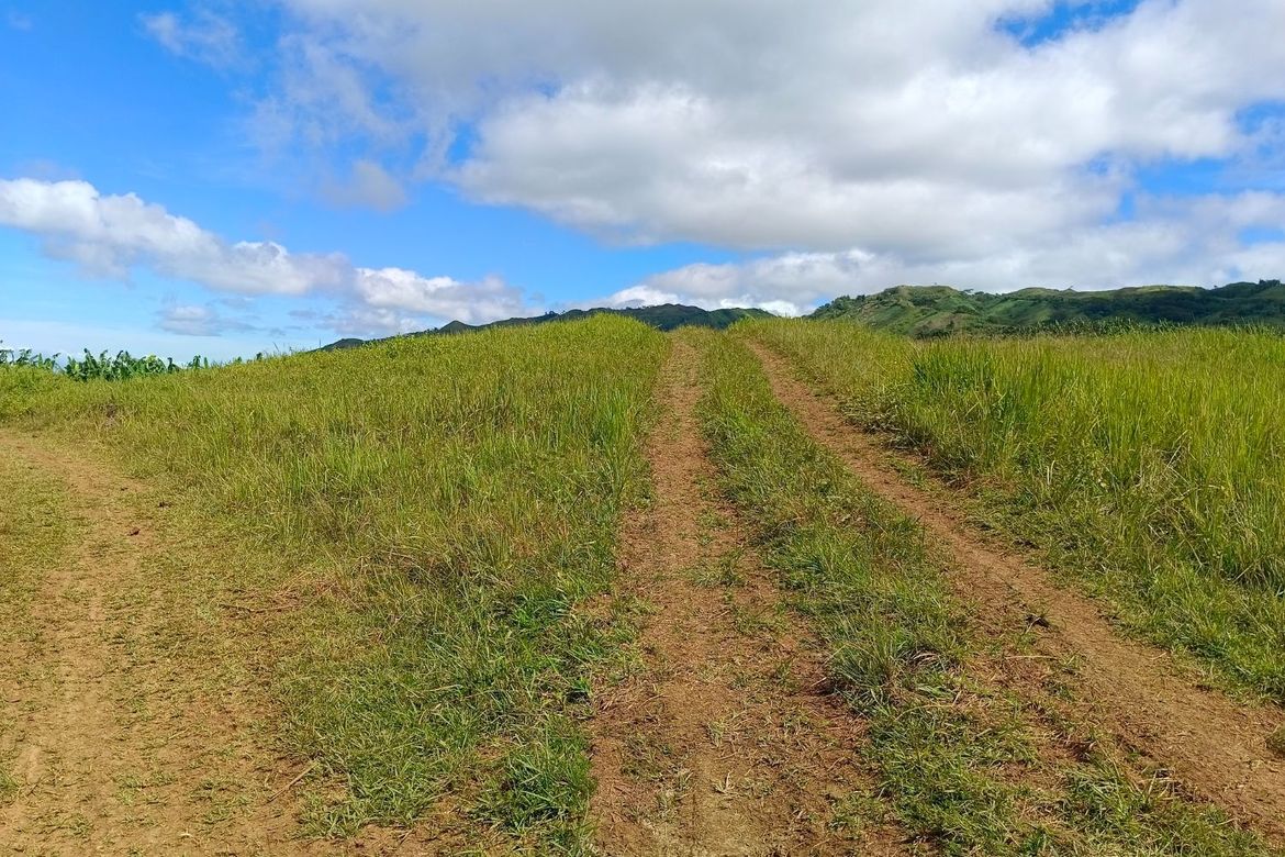 Land for Sale in Sagundanon, Kitaotao, Bukidnon