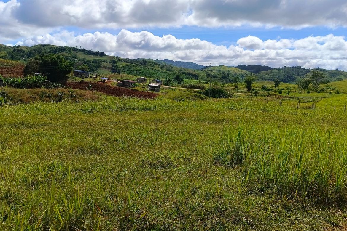 Land for Sale in Sagundanon, Kitaotao, Bukidnon – photo 3