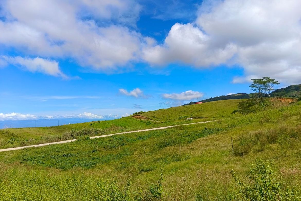 Land for Sale in Sagundanon, Kitaotao, Bukidnon – photo 4