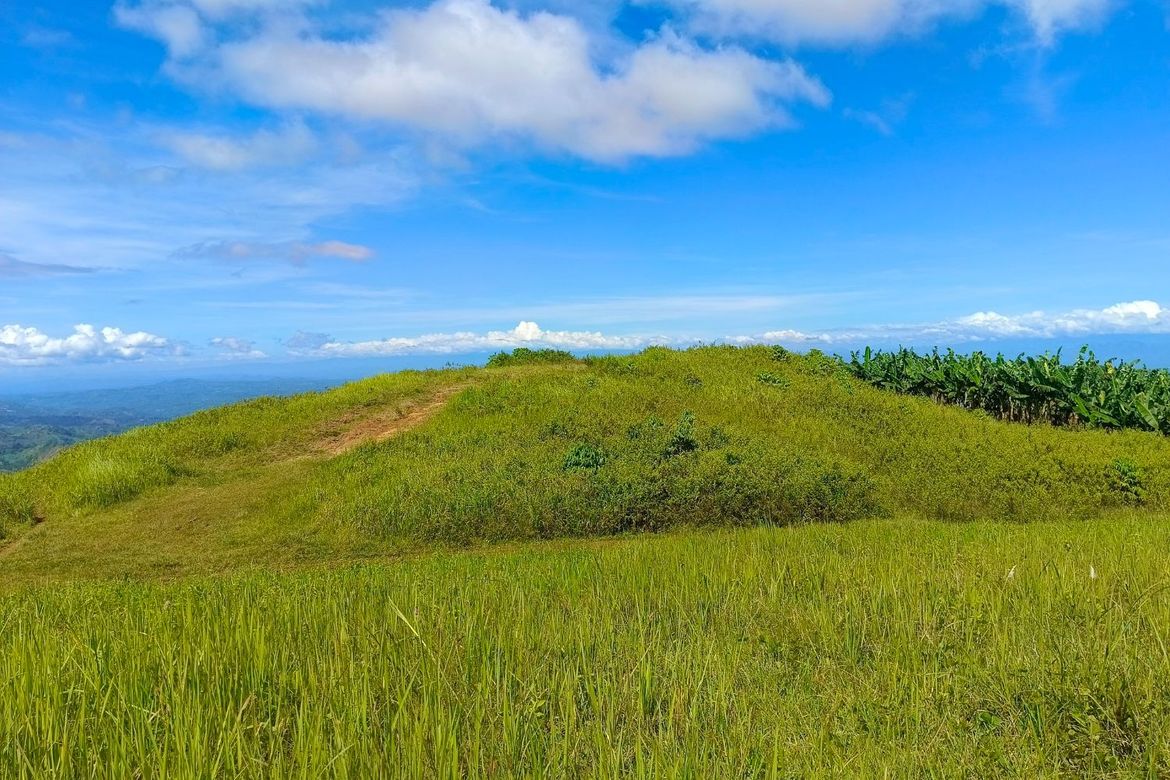 Land for Sale in Sagundanon, Kitaotao, Bukidnon – photo 5