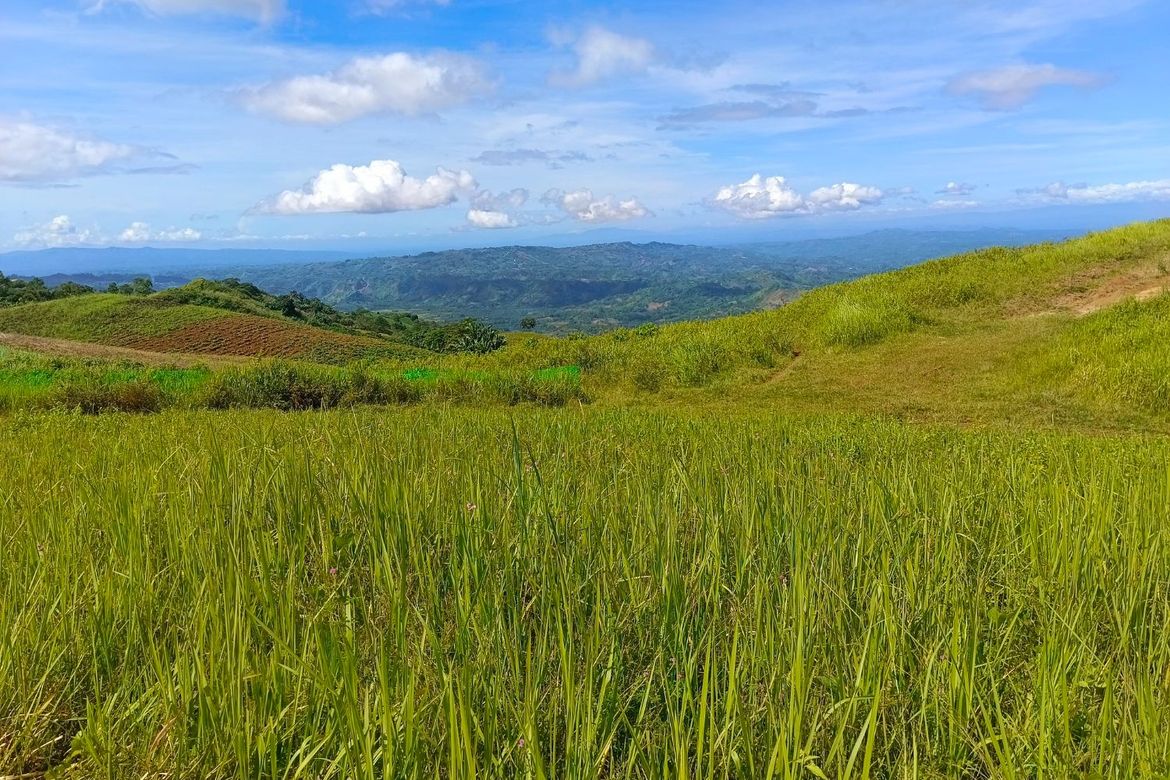 Land for Sale in Sagundanon, Kitaotao, Bukidnon – photo 7