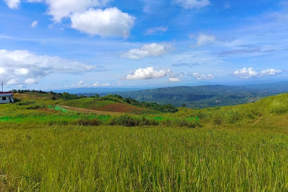Land for Sale in Sagundanon, Kitaotao, Bukidnon – photo 8
