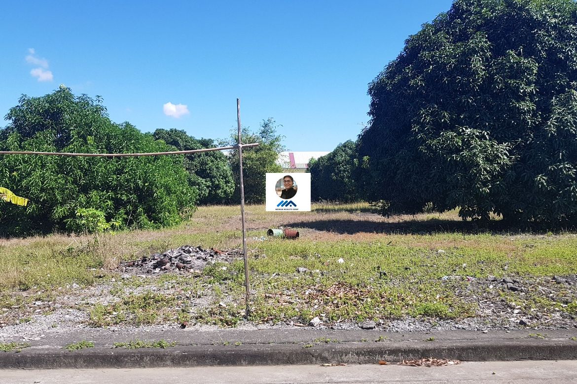 Land for Sale in Sahud Ulan, Tanza, Cavite – photo 3