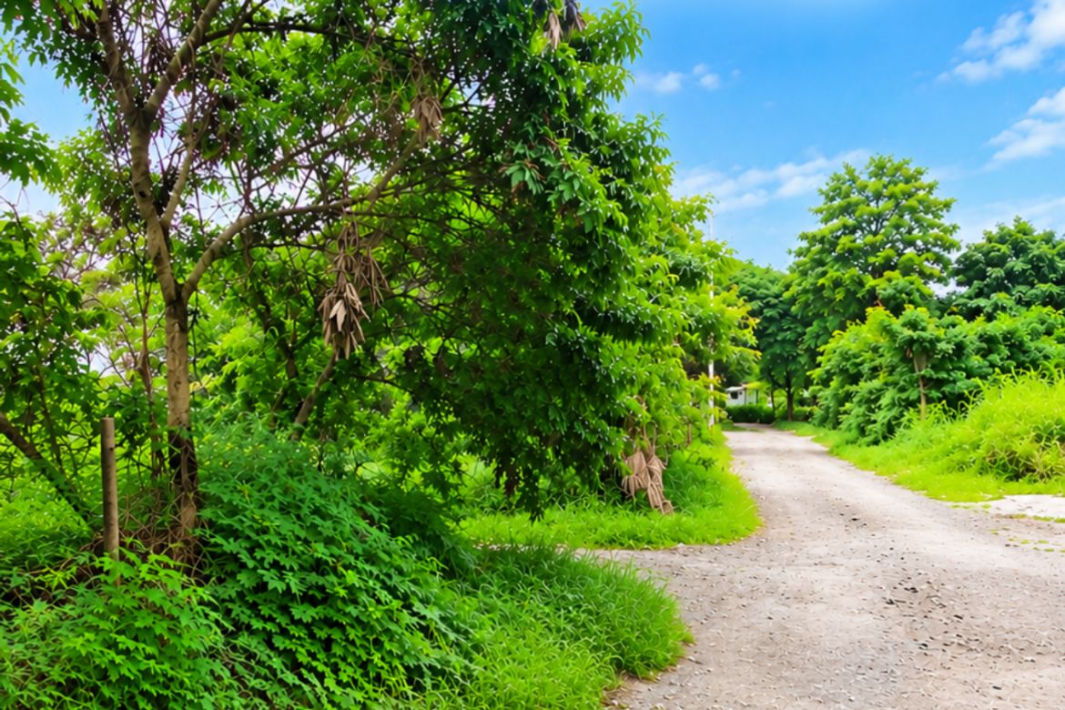 Land for Sale in Sala, Cabuyao, Laguna