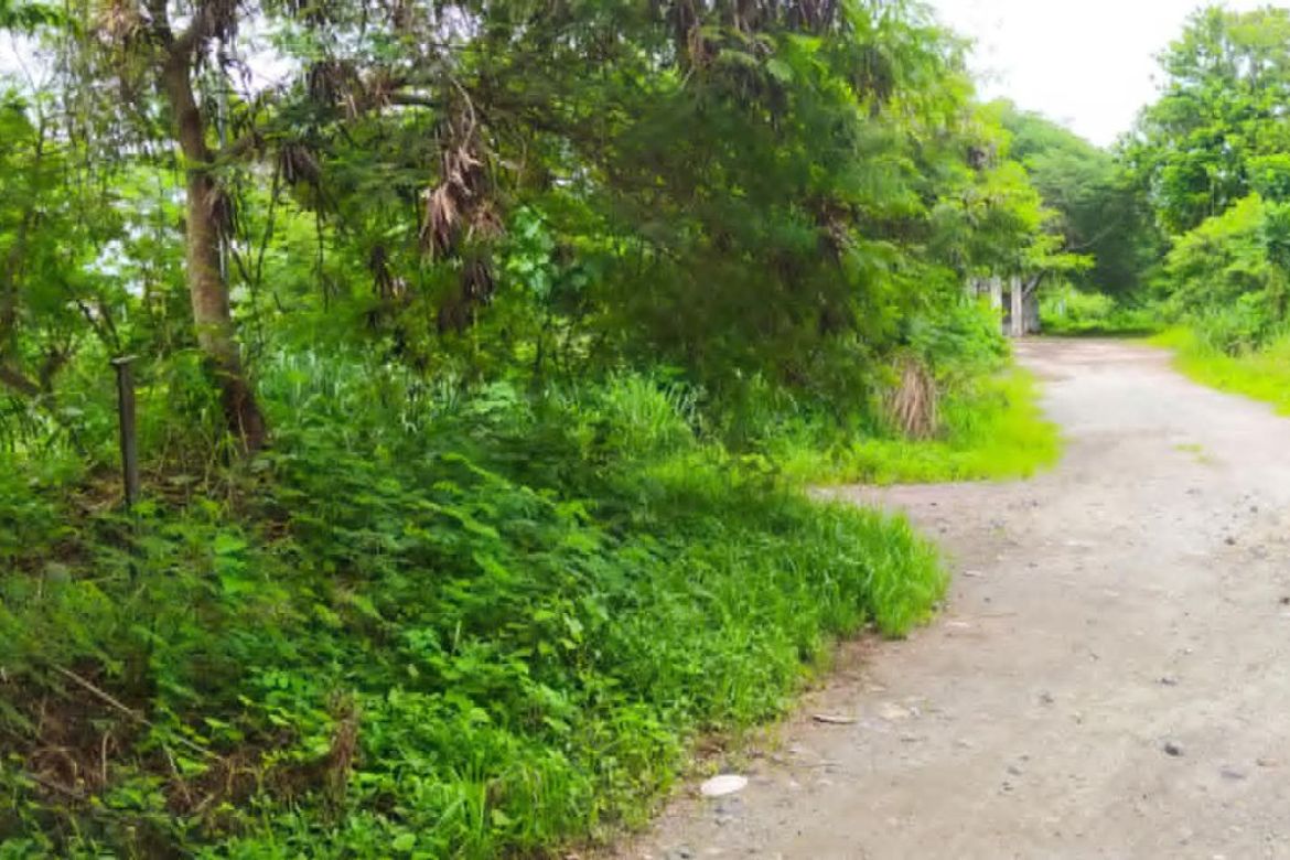 Land for Sale in Sala, Cabuyao, Laguna – photo 4
