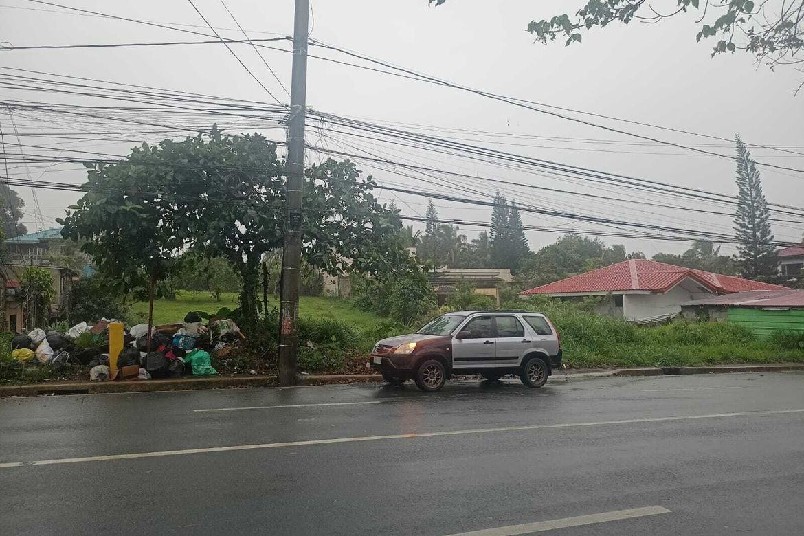 Land for Sale in Salaban, Amadeo, Cavite – photo 2