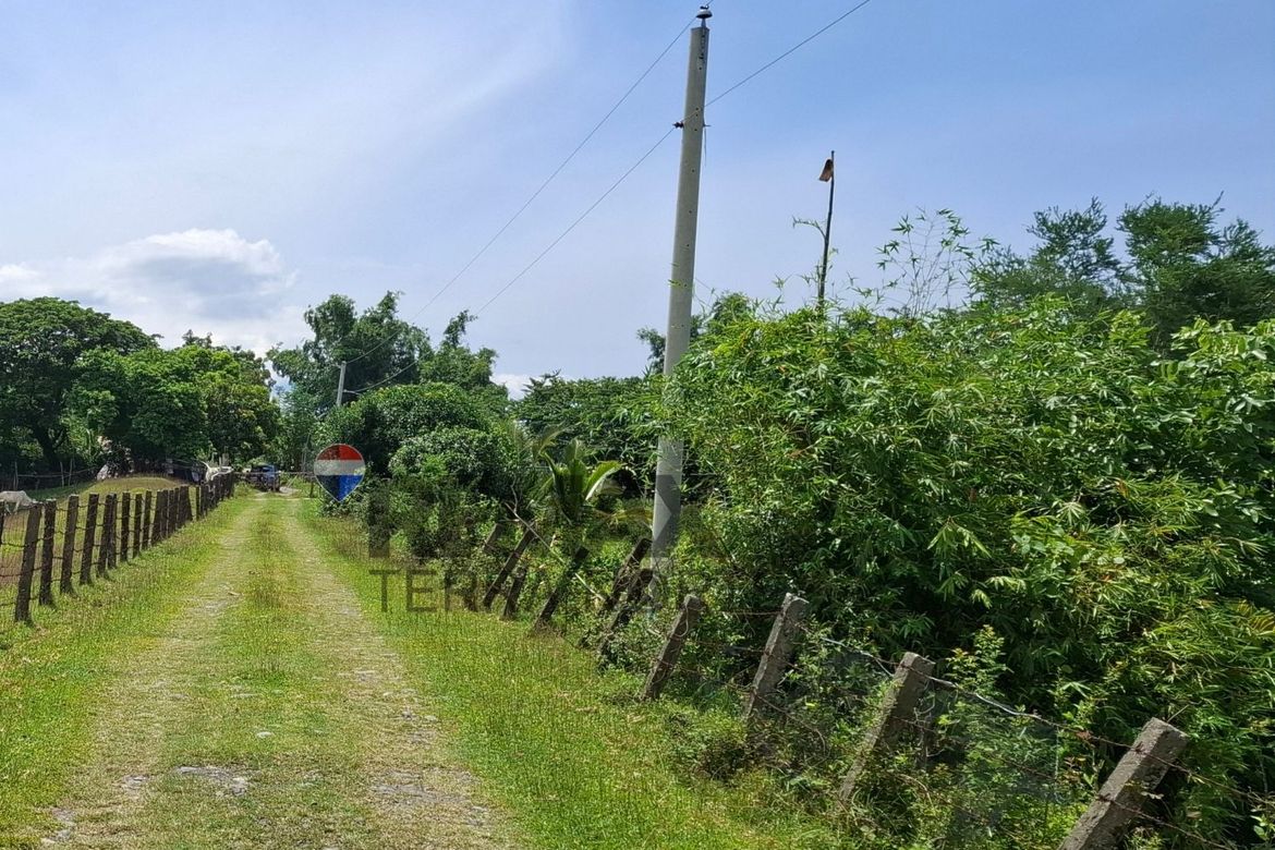 Land for Sale in Salasa, Bugallon, Pangasinan – photo 3