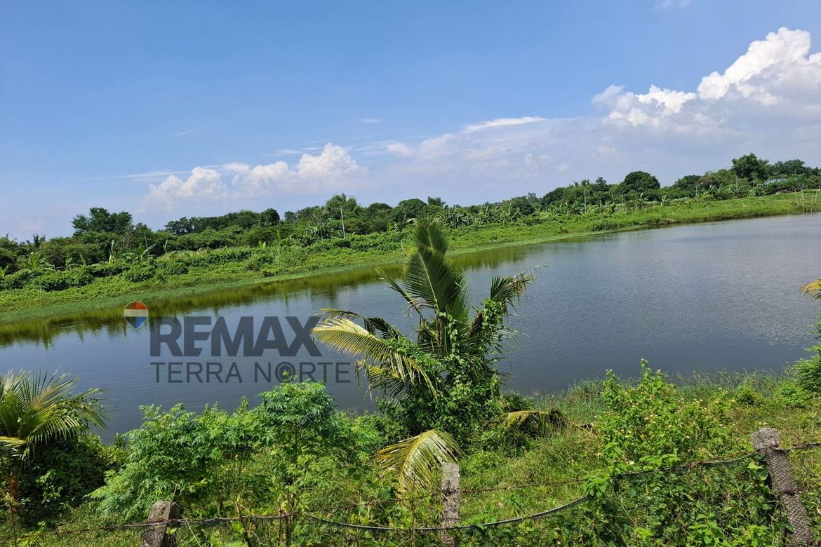 Land for Sale in Salasa, Bugallon, Pangasinan – photo 5