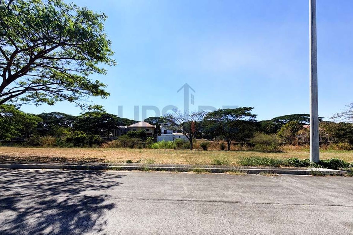 Land for Sale in Salawag, Dasmariñas, Cavite – photo 2