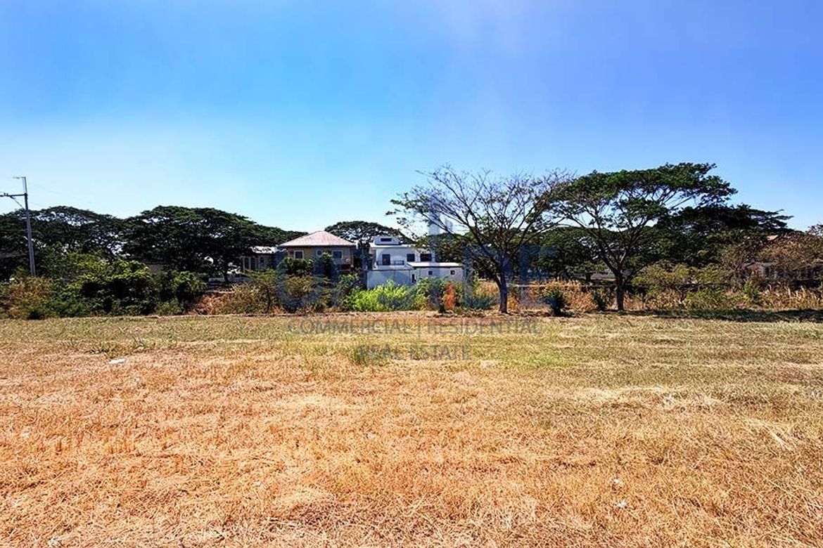 Land for Sale in Salawag, Dasmariñas, Cavite – photo 8