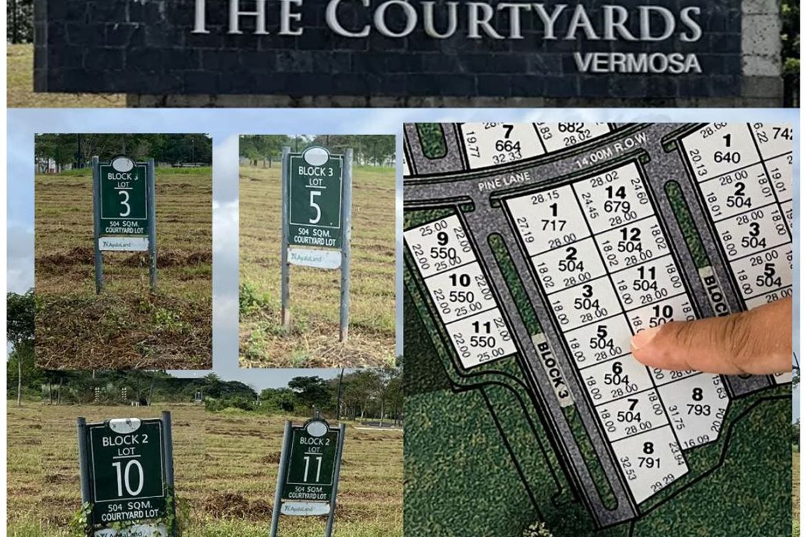 Land for Sale in Salawag, Dasmariñas, Cavite – photo 2