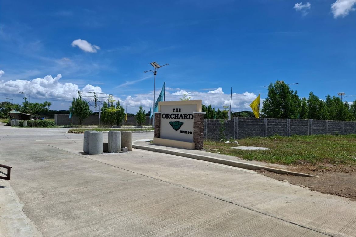 Land for Sale in Salawag, Dasmariñas, Cavite – photo 3