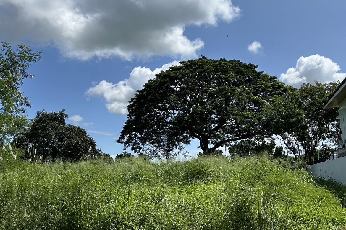 Land for Sale in Salawag, Dasmariñas, Cavite