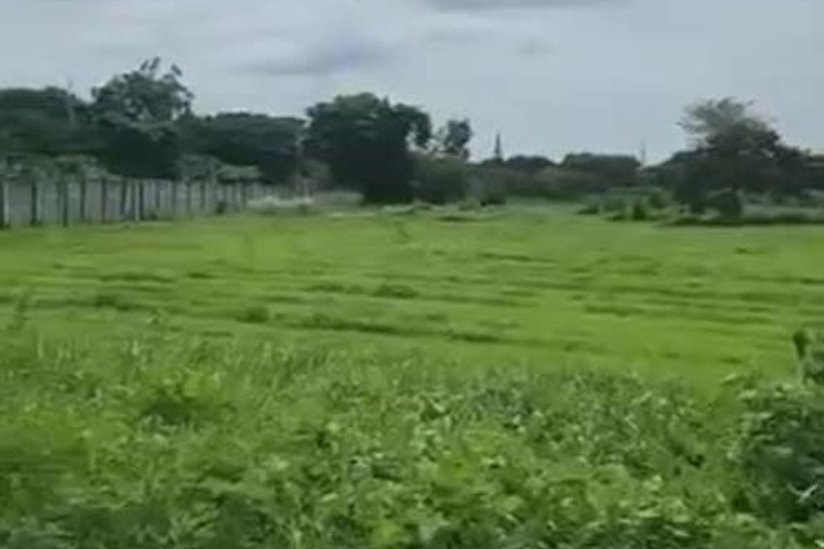 Land for Sale in Salawag, Dasmariñas, Cavite – photo 2