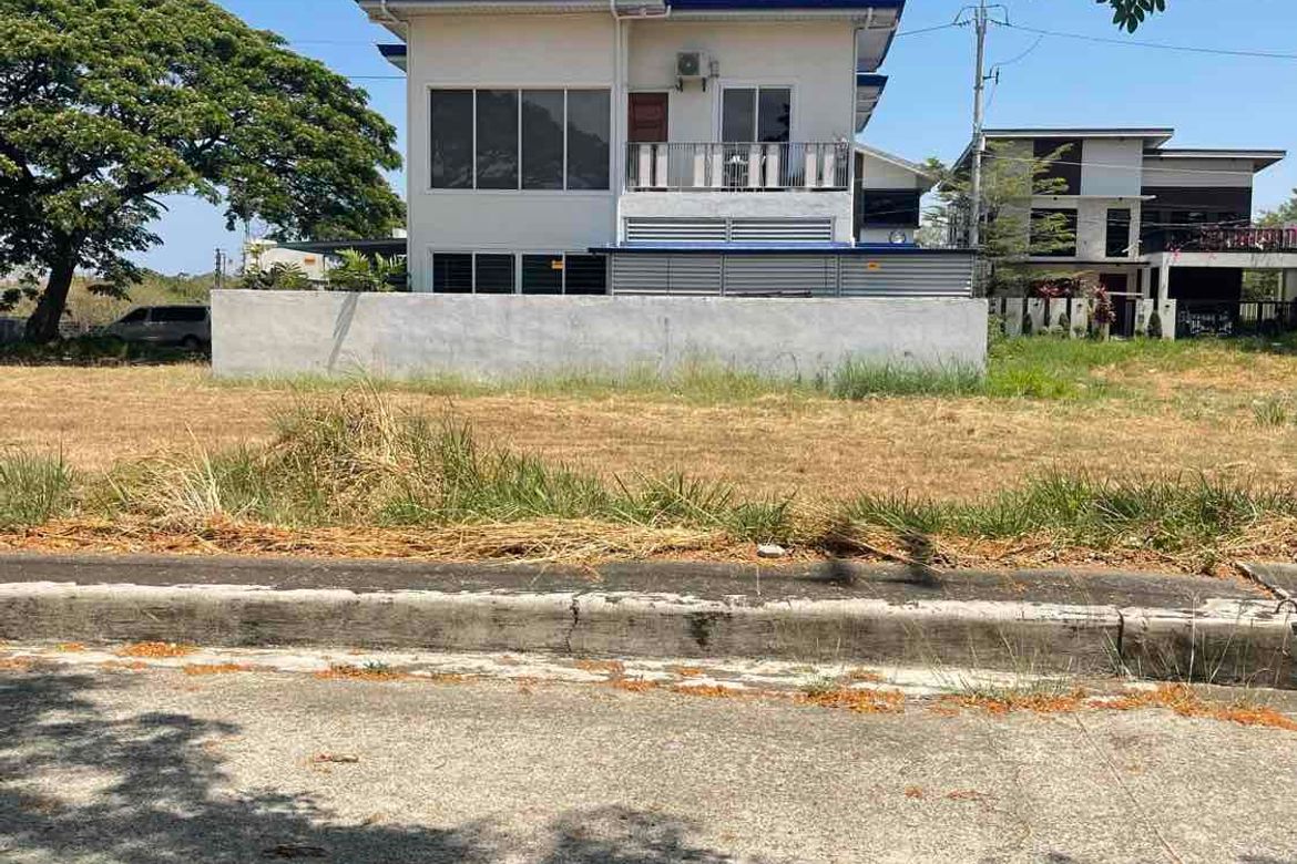 Land for Sale in Salawag, Dasmariñas, Cavite
