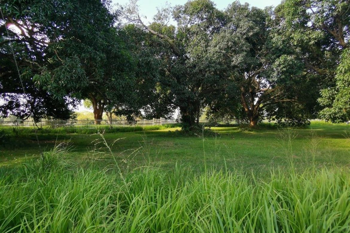 Land for Sale in Salawag, Dasmariñas, Cavite