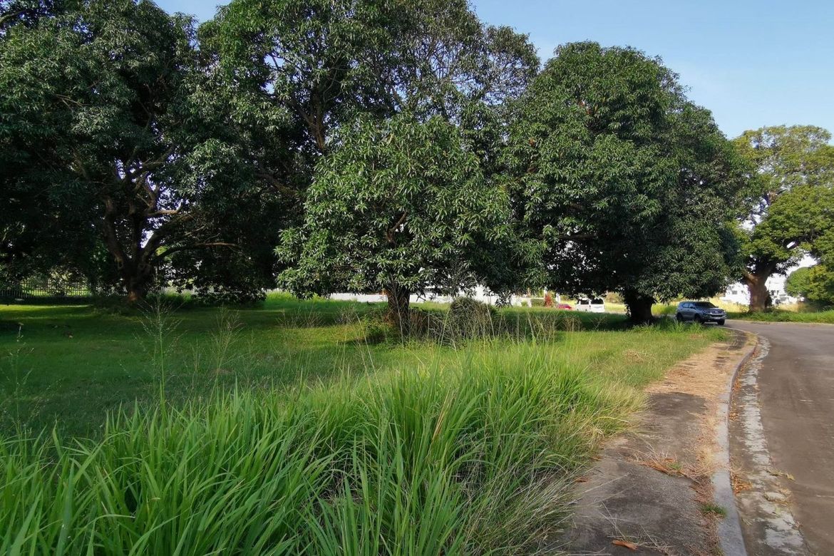 Land for Sale in Salawag, Dasmariñas, Cavite – photo 3