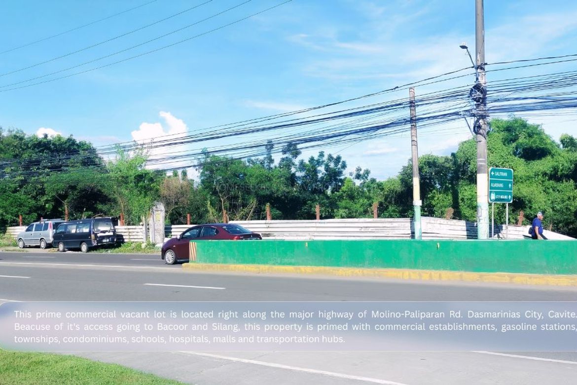 Land for Sale in Salawag, Dasmariñas, Cavite – photo 2