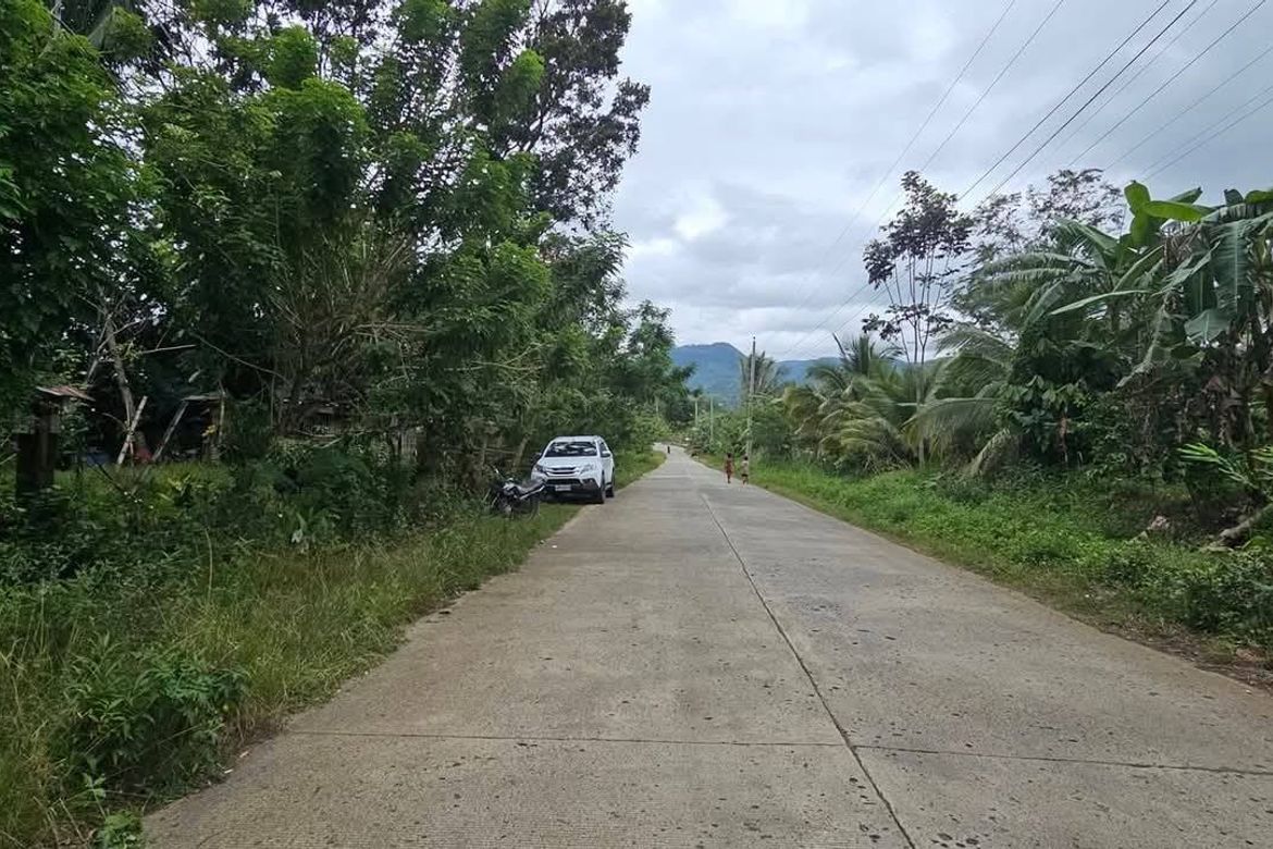 Land for Sale in Salaysay, Davao City, Davao del Sur – photo 2