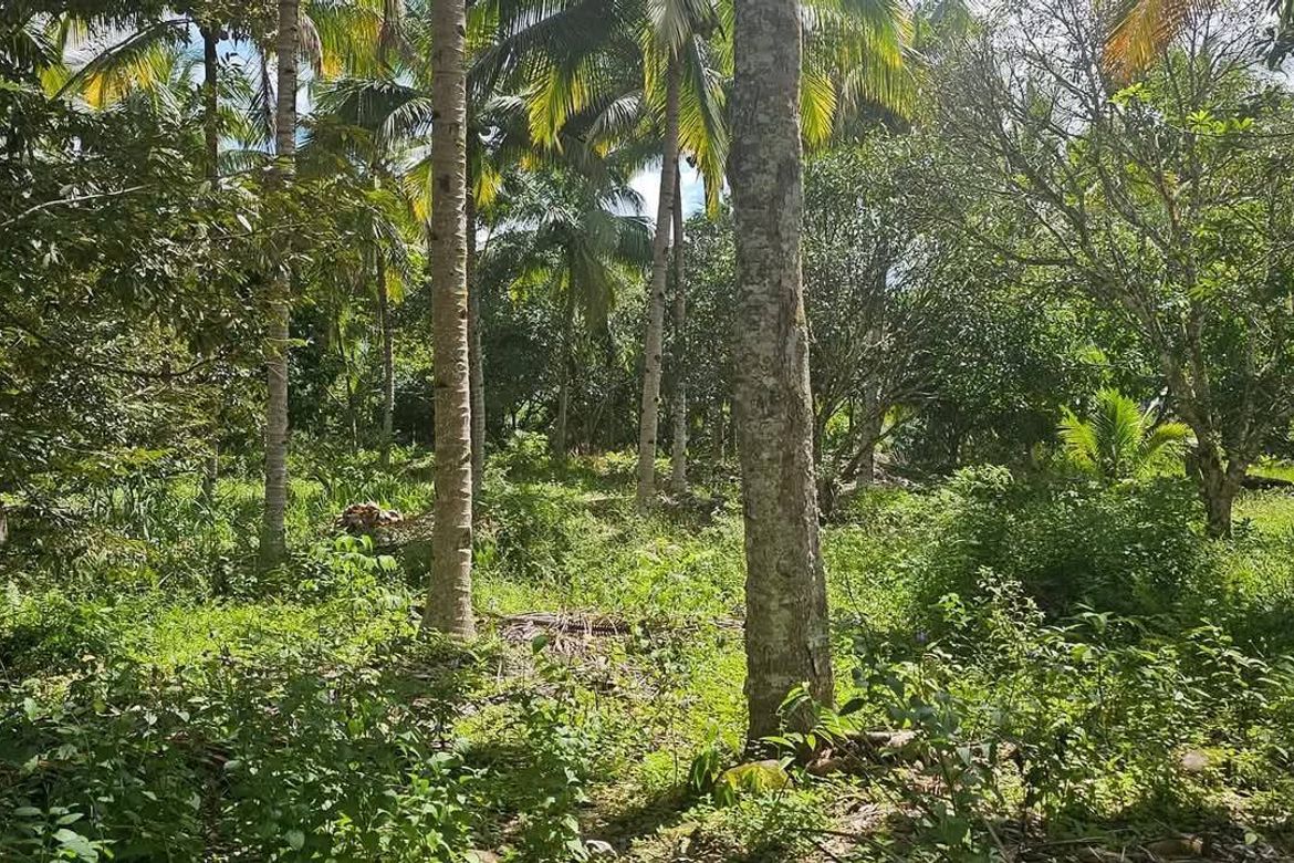 Land for Sale in Salaysay, Davao City, Davao del Sur – photo 3