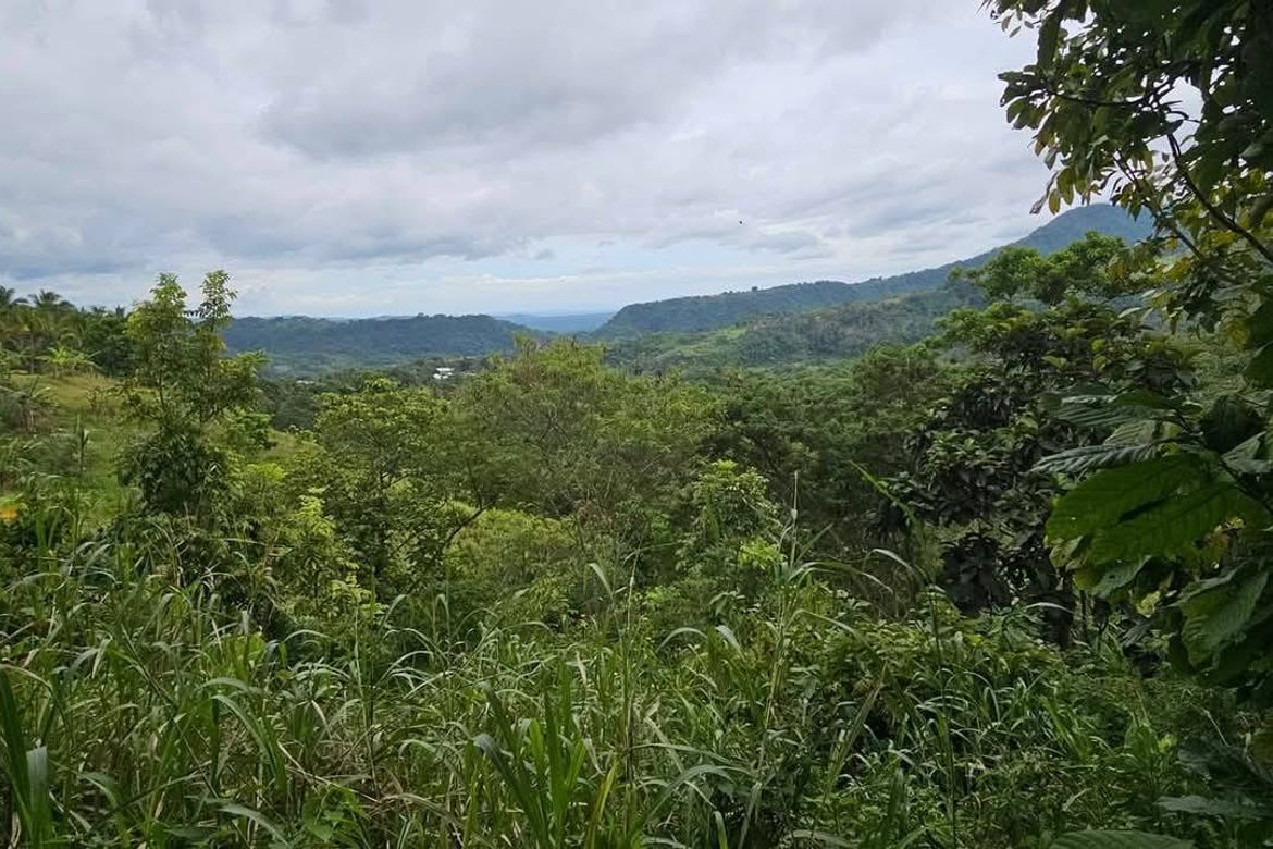 Land for Sale in Salaysay, Davao City, Davao del Sur – photo 5