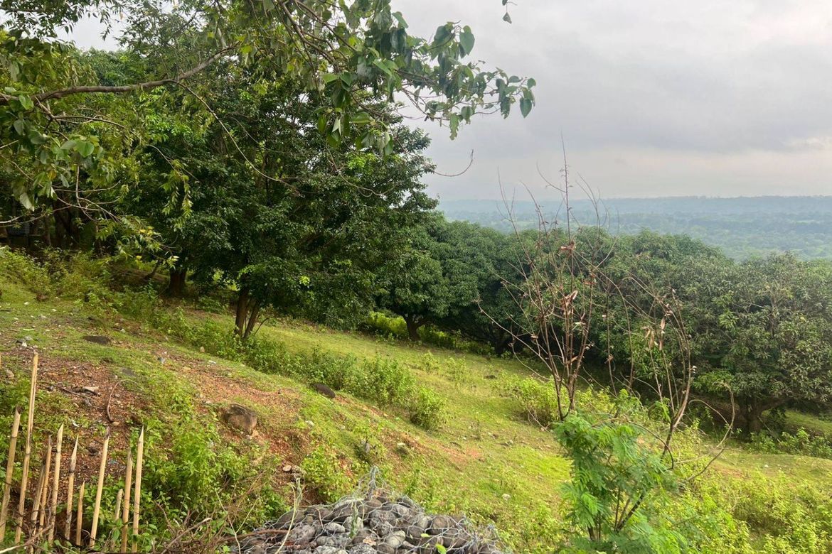 Land for Sale in Salaza, Palauig, Zambales
