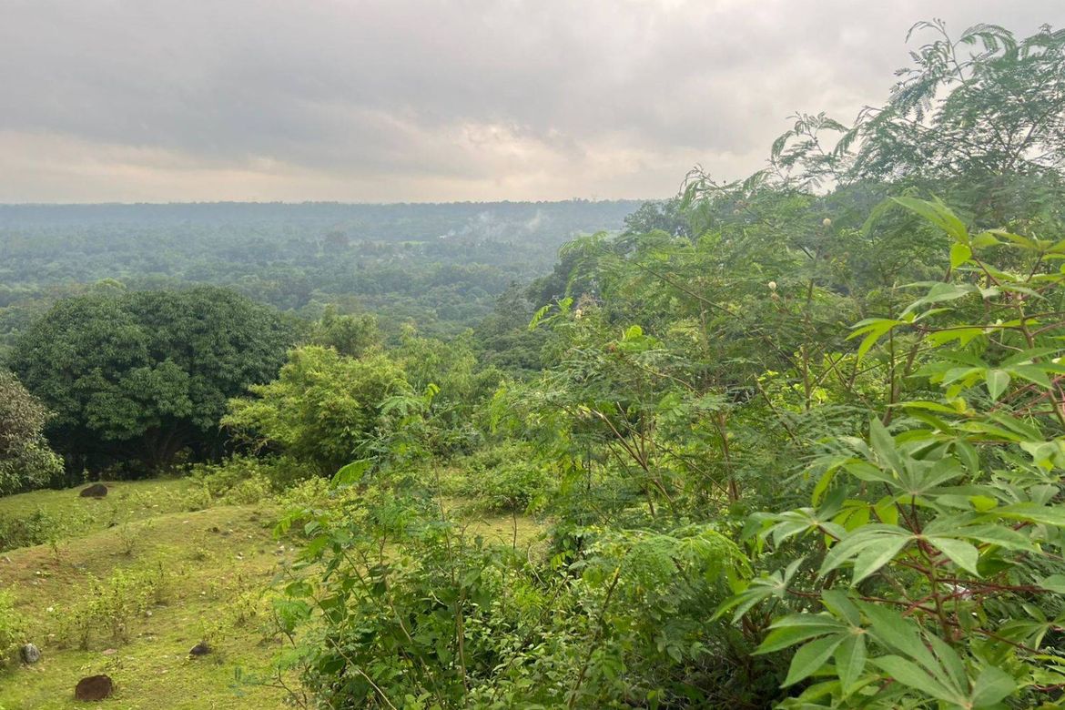 Land for Sale in Salaza, Palauig, Zambales – photo 4